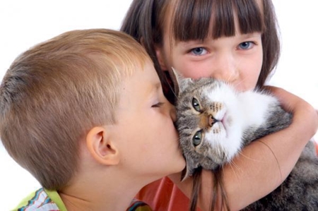 Allergies to cats in children