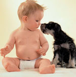 Pets and child Pets and child