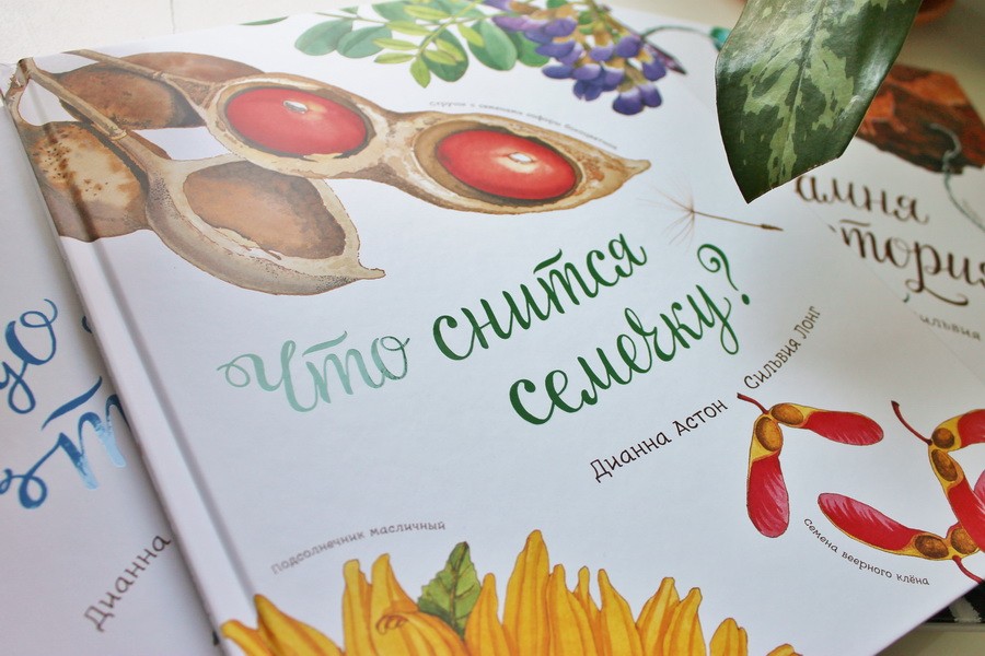 "What a dream a seed": botany for the smallest