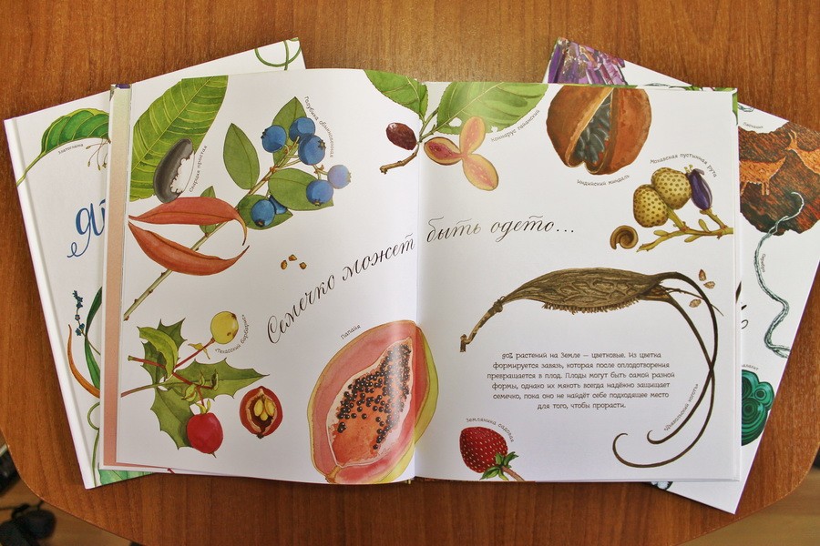 "What a dream a seed": botany for the smallest