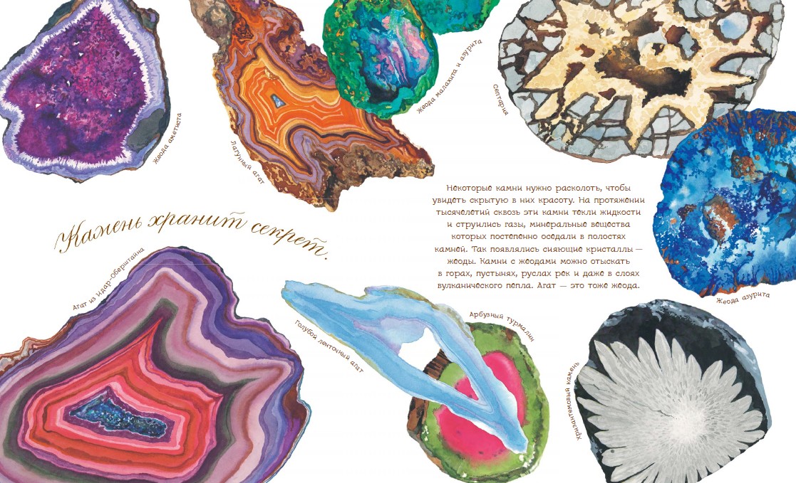 "The stone has its own story": the first collection of minerals