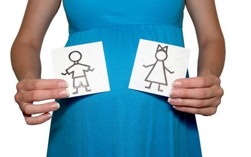 How to determine the sex of a child without ultrasound