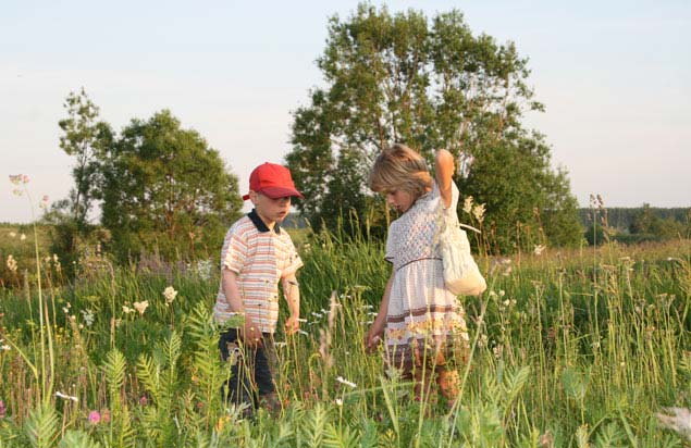 How to instill in children a love for nature?