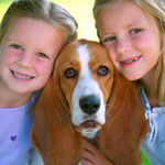 What kind of pet to give a child? What kind of pet to give a child?