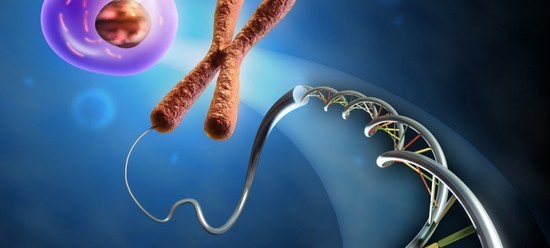 Karyotyping spouses, or How to plan the birth of a healthy baby