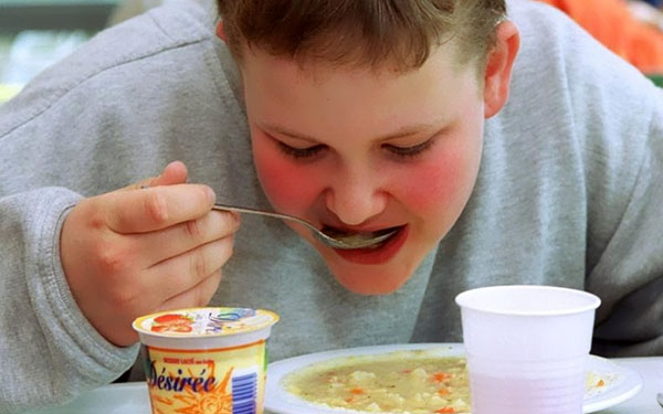Obesity in the child: methods of control and prevention