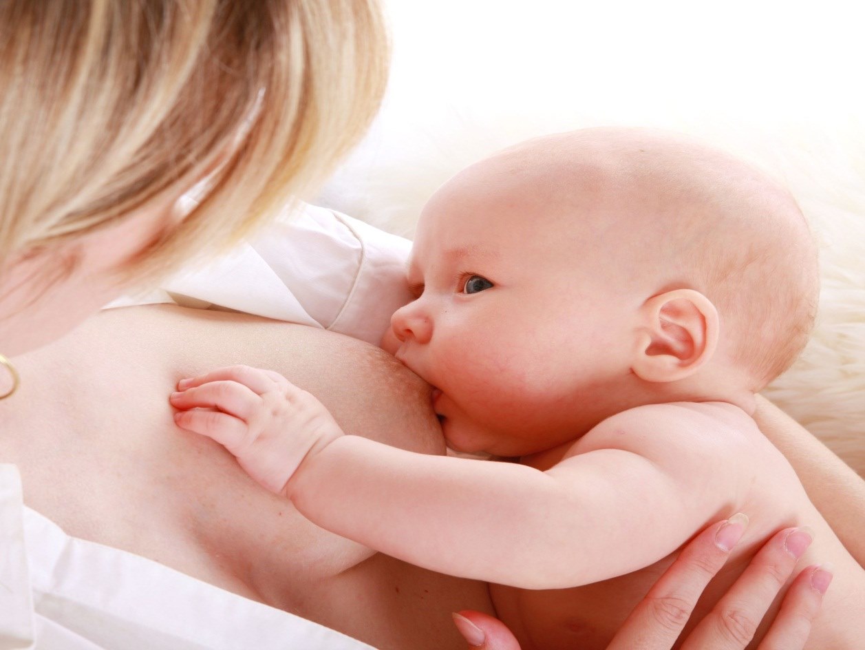 mom feeds the baby