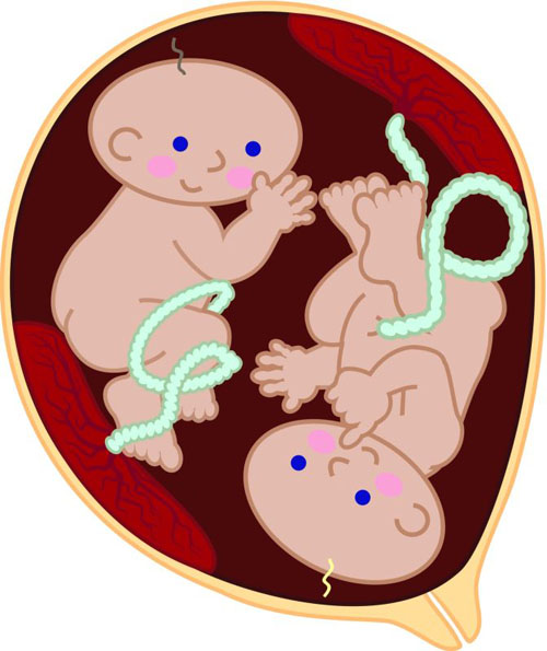 Looking forward to twins