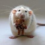 Diseases of rats Diseases of rats