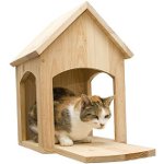 How to make a house for a cat