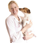 Poisoning in dogs