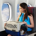 Transportation of animals in the plane Transportation of animals in the plane