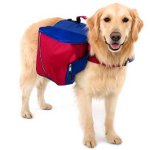 Backpack for a dog Backpack for a dog