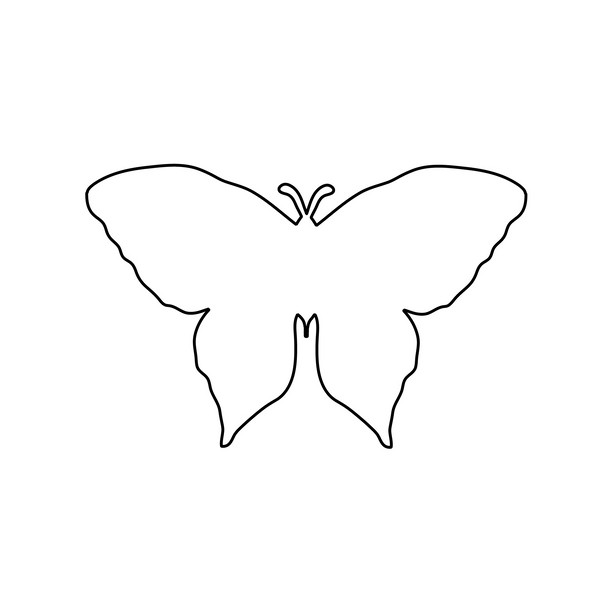 We make a butterfly from paper with our own hands We make a butterfly from paper with our own hands