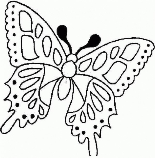 We make a butterfly from paper with our own hands We make a butterfly from paper with our own hands