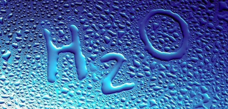 What can be done from the water: we make lizuna