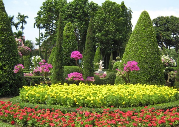 Beautiful flowers for a flower bed