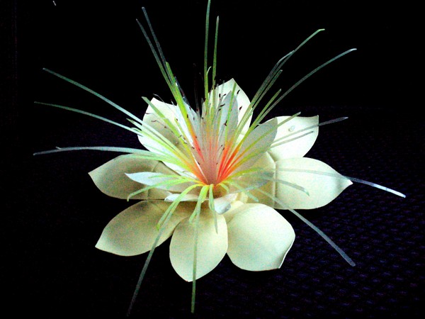 Flowers from plastic bottles: a master class for making plastic crafts with their own hands