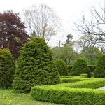 Trees and shrubs Trees and shrubs