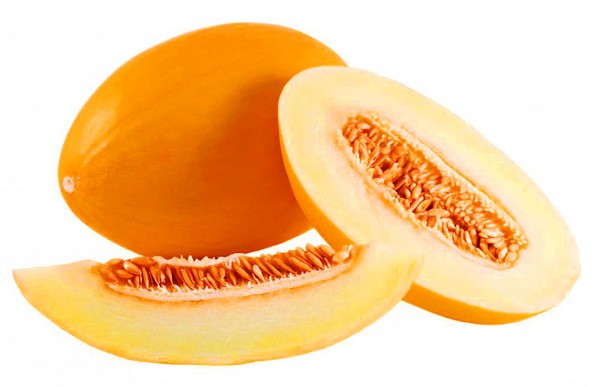 Planting and care of melons in the open ground in the middle zone of Russia