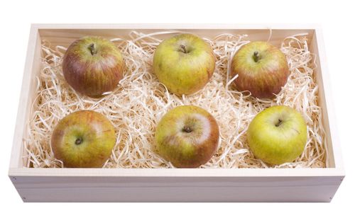 How to keep apples in winter at home