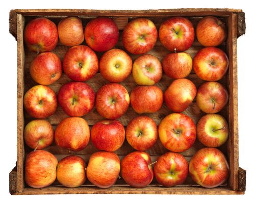 How to keep apples in winter at home