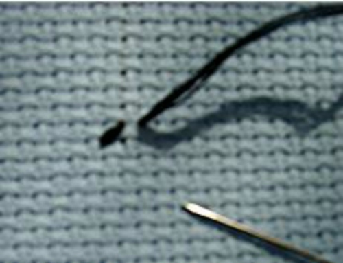 Tapestry stitch: master class of embroidery