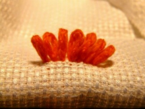 Tapestry stitch: master class of embroidery