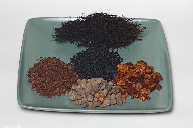Soil for orchids Soil for orchids