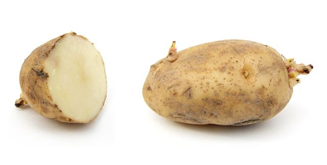 How to store potatoes in winter
