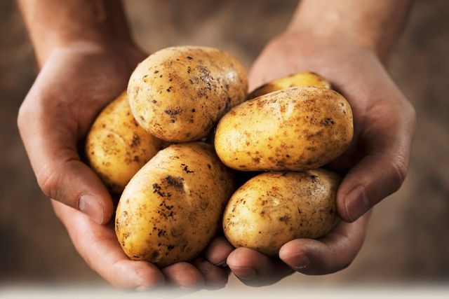 How to store potatoes in winter