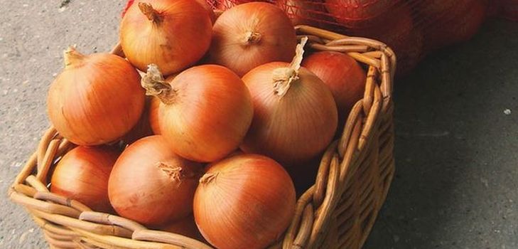 Onion storage at home in winter