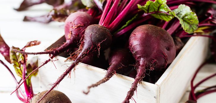 Beet storage for the winter