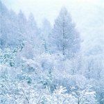How to photograph winter? How to photograph winter?