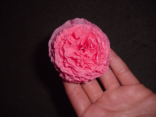 Carnations of colored paper with their own hands on May 9