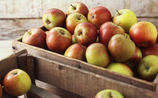 How to keep apples in winter