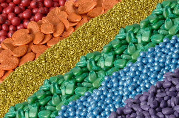 How to choose the right vegetable seeds for planting in the open ground