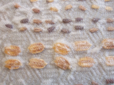 How to properly soak seeds before planting How to properly soak seeds before planting
