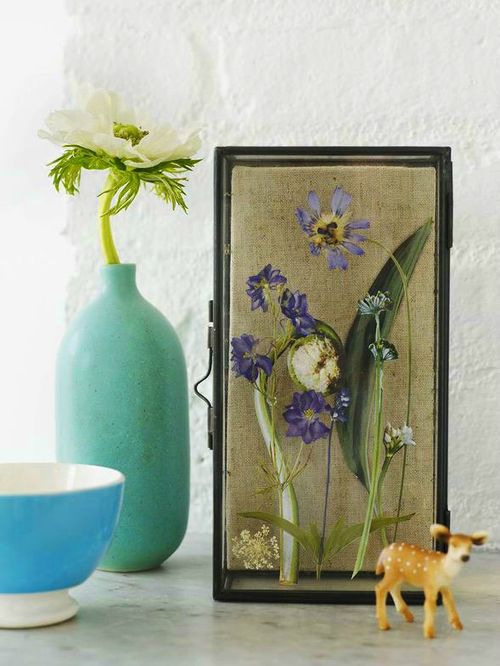 How to dry flowers for a herbarium