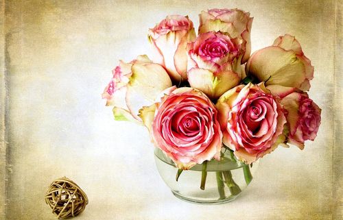 How to dry flowers for a herbarium