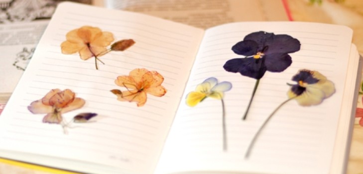 Learning to make a herbarium and an album for him with their own hands