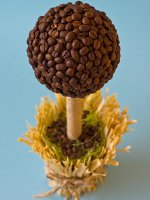 How to make a coffee tree How to make a coffee tree