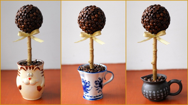 How to make a coffee tree