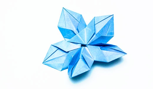 How to make an origami flower with your own hands