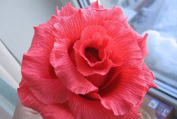 Roses made from corrugated paper Roses made from corrugated paper