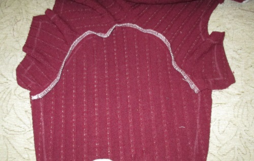 Warm fleece overall for a dog