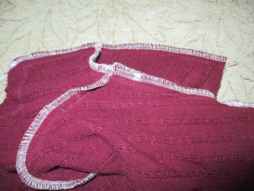 Warm fleece overall for a dog
