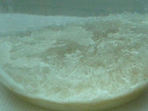 Salt crystal at home
