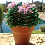 Cactus from beads own hands