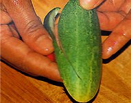 Carving from vegetables and fruits?